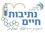 ישיבת בני עקיבא נתיבות חיים בפסגת זאב